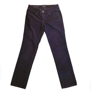 Ann Taylor LOFT Dark Brown Corduroy 27/4 Modern Straight